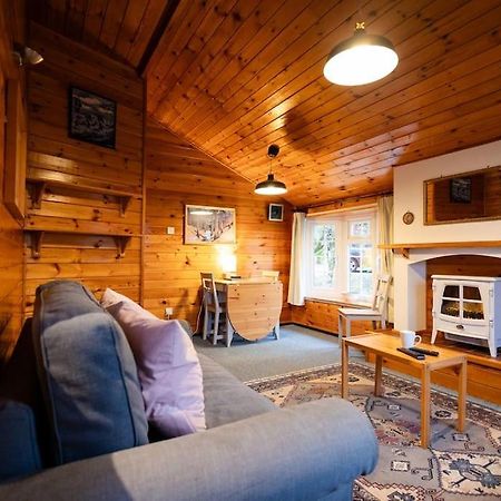 Cozy Norwegian Style Log Cabin In Rural Snowdonia - 2 Bedrooms & Parking By Seren Short Stays Ffestiniog Екстер'єр фото