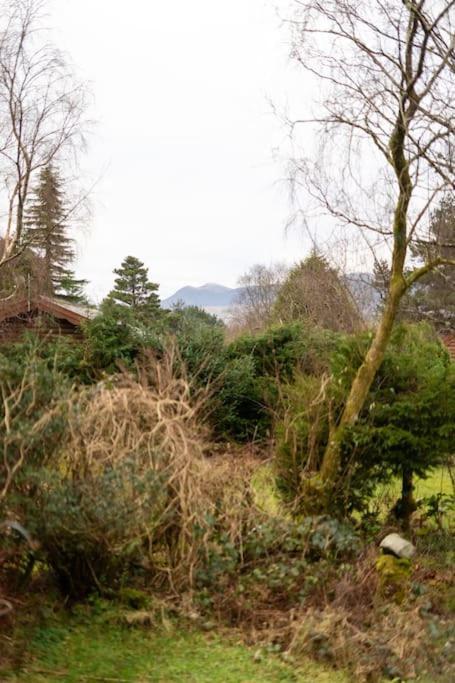 Cozy Norwegian Style Log Cabin In Rural Snowdonia - 2 Bedrooms & Parking By Seren Short Stays Ffestiniog Екстер'єр фото
